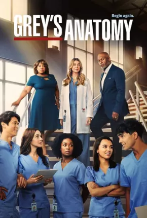 Série Greys Anatomy - 19ª Temporada 2022