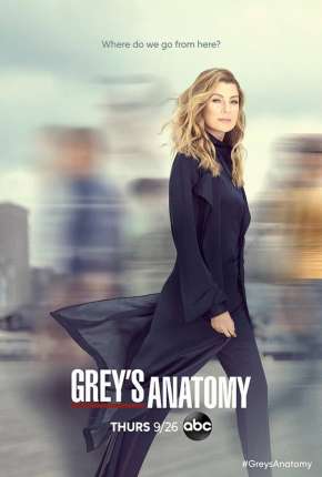 Série A Anatomia de Grey - 17ª Temporada 2021