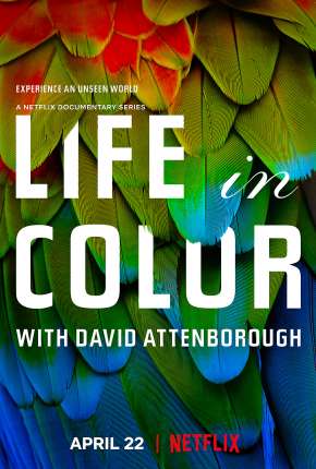 Série A Vida em Cores com David Attenborough - 1ª Temporada Completa 2021