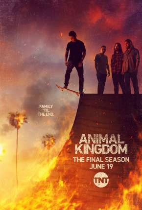 Série Animal Kingdom - 5ª Temporada Legendada 2021