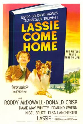 Filme Lassie - A Força do Coração 1943